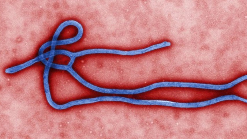 Ebola Virüsü Yeniden Mutasyona Uğradı